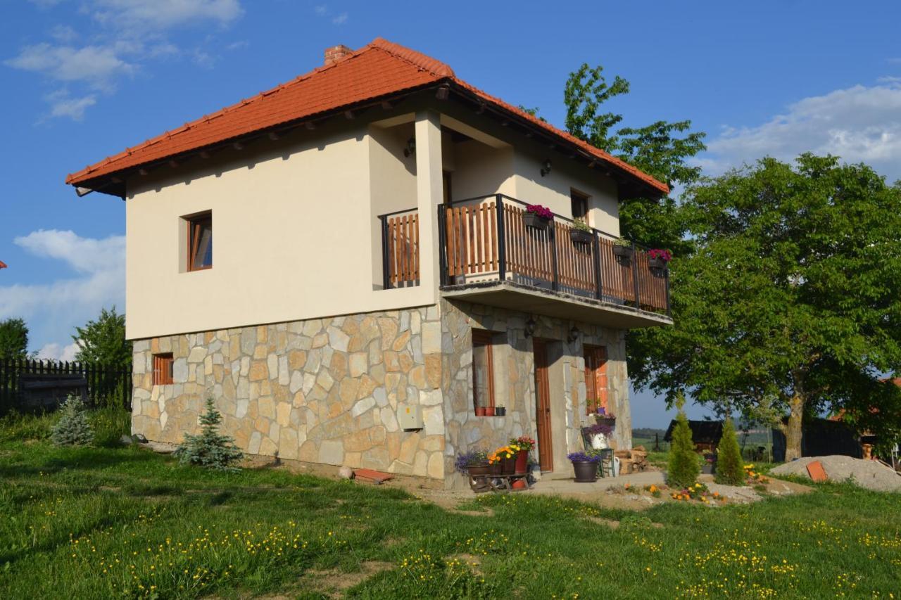 Zlatibor Cottages Exterior photo